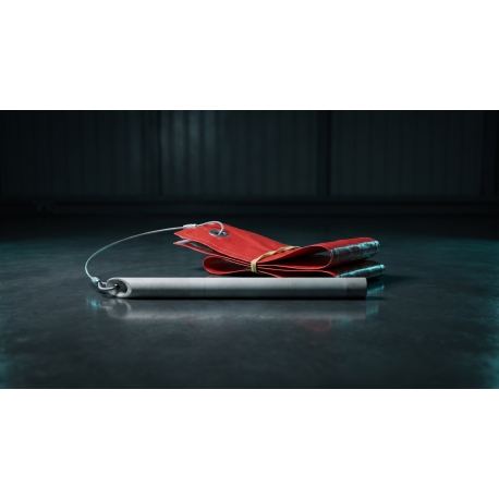 98D52207543000   DEVICE-SAFETY,EMERGENCY EXIT